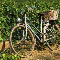 Fiets